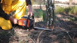 Best Commercial Tree Services  in Woods Creek, WA
