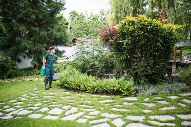 Best Lawn Renovation and Restoration  in Woods Creek, WA